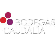vino-navarra-caudalia