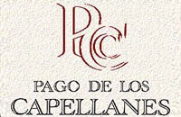 vino-ribera-del-duero-pago-de-los-capellanes