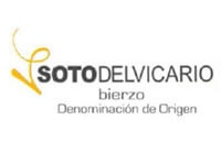 vino-bierzo-soto-del-vicario